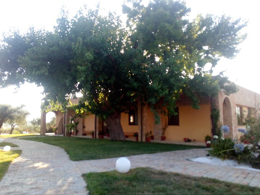 Agriturismo Piccolo Albero Loreto Aprutino Exterior foto